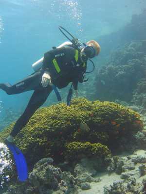 red sea_073.jpg